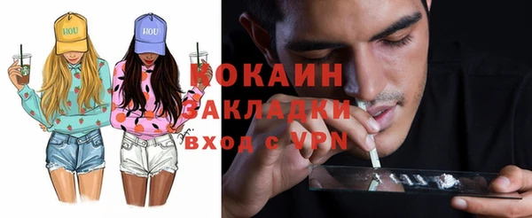 индика Новокубанск