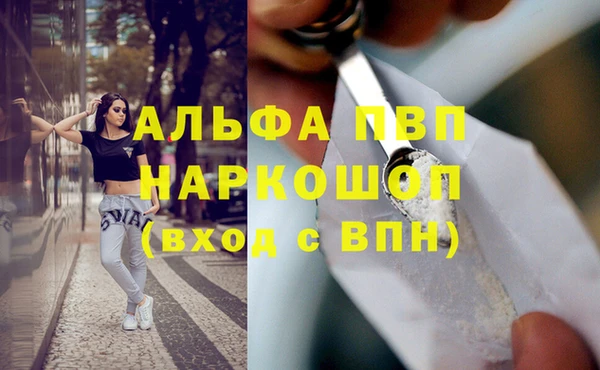 индика Новокубанск