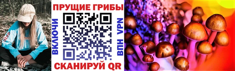 Псилоцибиновые грибы Cubensis  Нариманов 